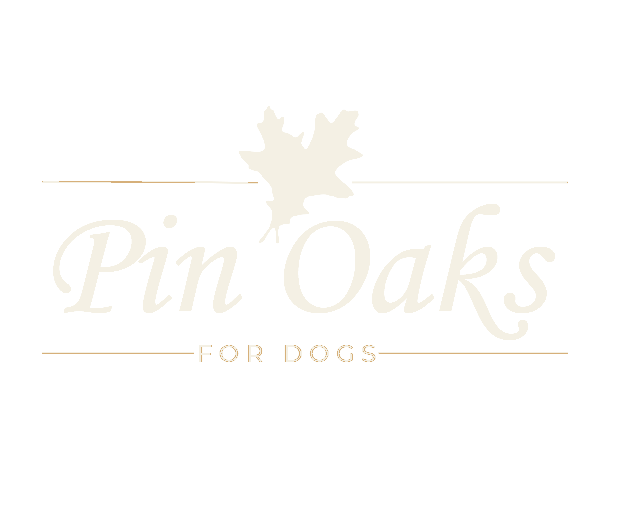 Pin Oaks for Dogs